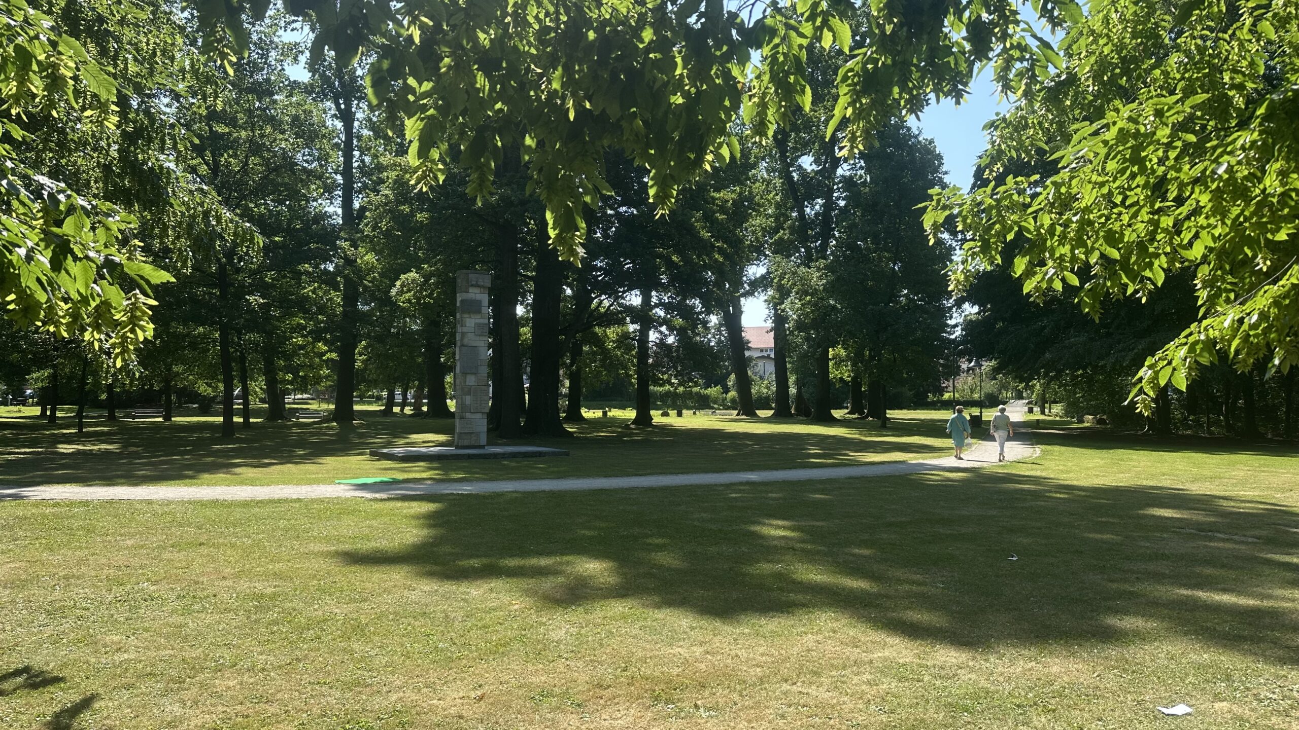Prvi SKÜP pod milim nebom: začeli smo s pogovorom o mestu, končali pri drevesih.